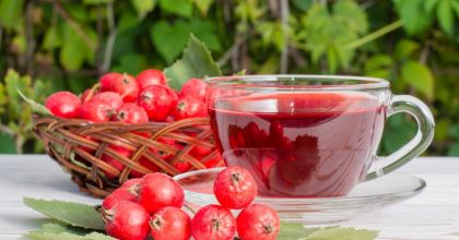 Полезные свойства боярышника и возможный вред Полезные свойства боярышника и возможный вред