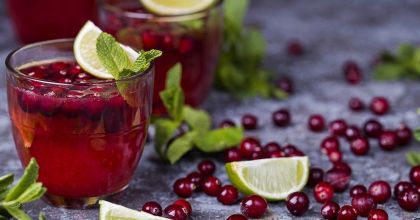 Брусника - источник Вашего здоровья Брусника - источник Вашего здоровья