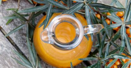 Облепиха – обычная ягода или источник полезных свойств? Облепиха – обычная ягода или источник полезных свойств?